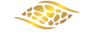 Brivizo S.L.